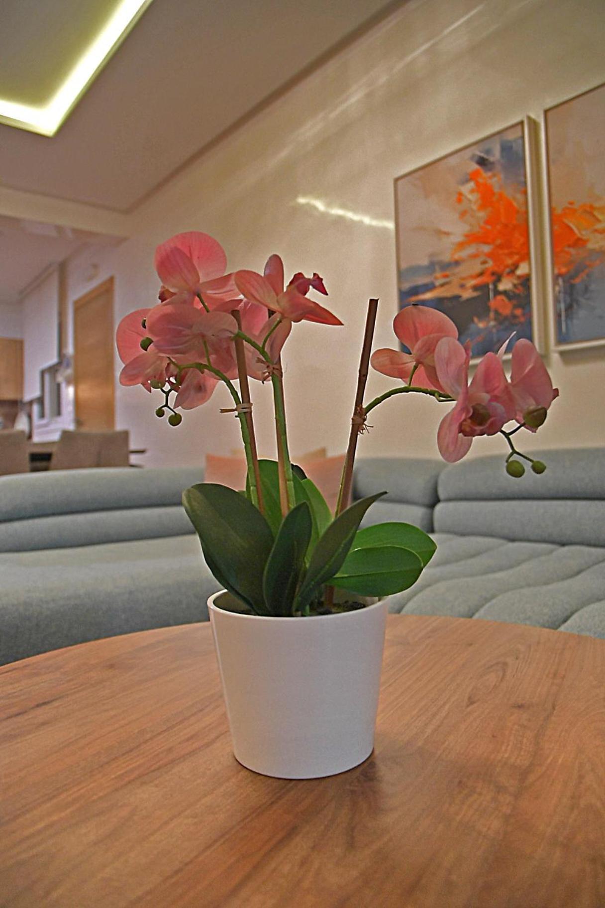 Inhome Apartment Кабо-Негро Экстерьер фото
